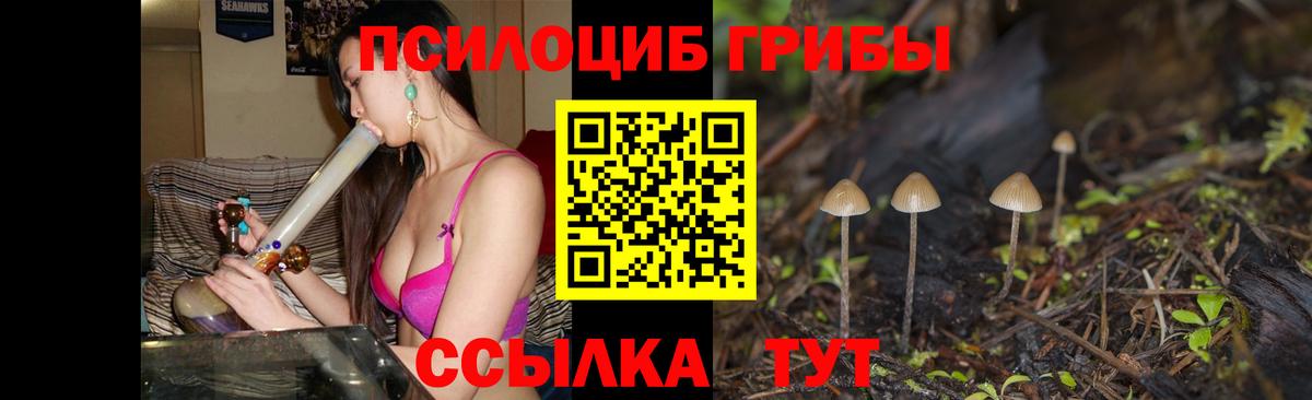 Псилоцибиновые грибы Magic Shrooms  Вход с VPN  продажа наркотиков  Псилоцибиновые грибы GOLDEN TEACHER  Коряжма 